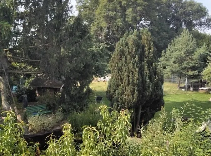 Pusteblume Appartement